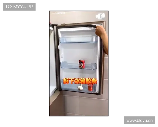 仲满家的冰箱里塞满了能量胶，保质期比他上一次约会还长